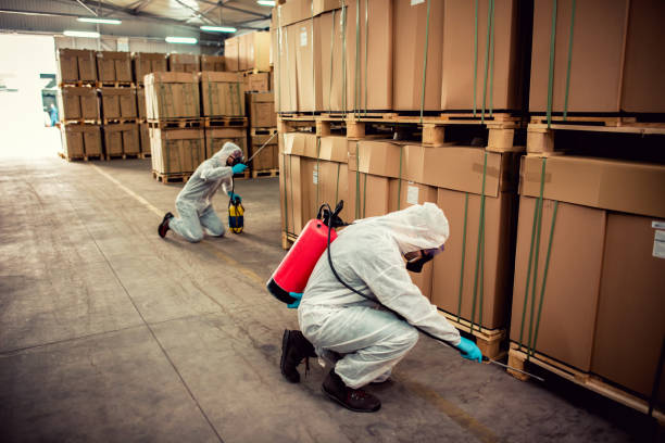 Trusted Springfield, NJ Pest Control Experts