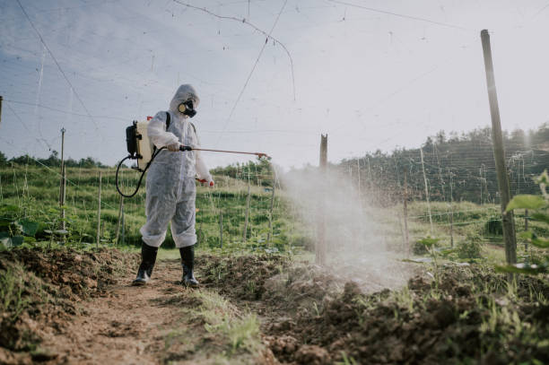 Best Mosquito Control Services  in Springfield, NJ