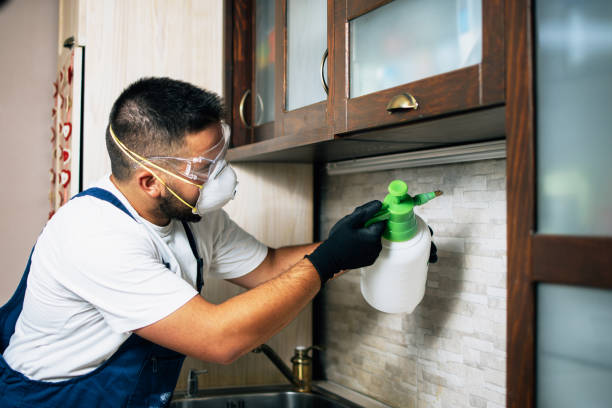 Wildlife Control Services in Springfield, NJ