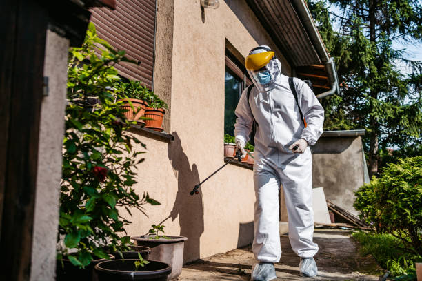 Best Pest Inspection Near Me  in Springfield, NJ
