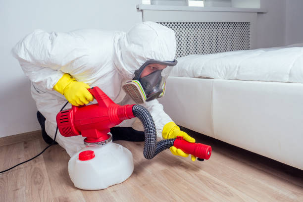 Professional Pest Control in Springfield, NJ