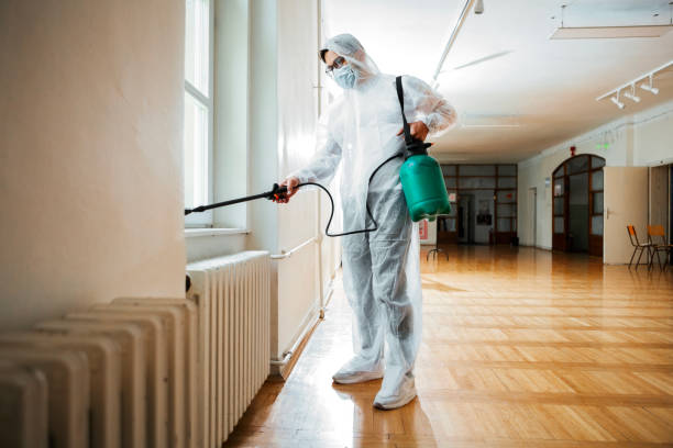 Best Wildlife Control Services  in Springfield, NJ